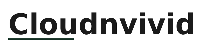 Cloudnvivid logo
